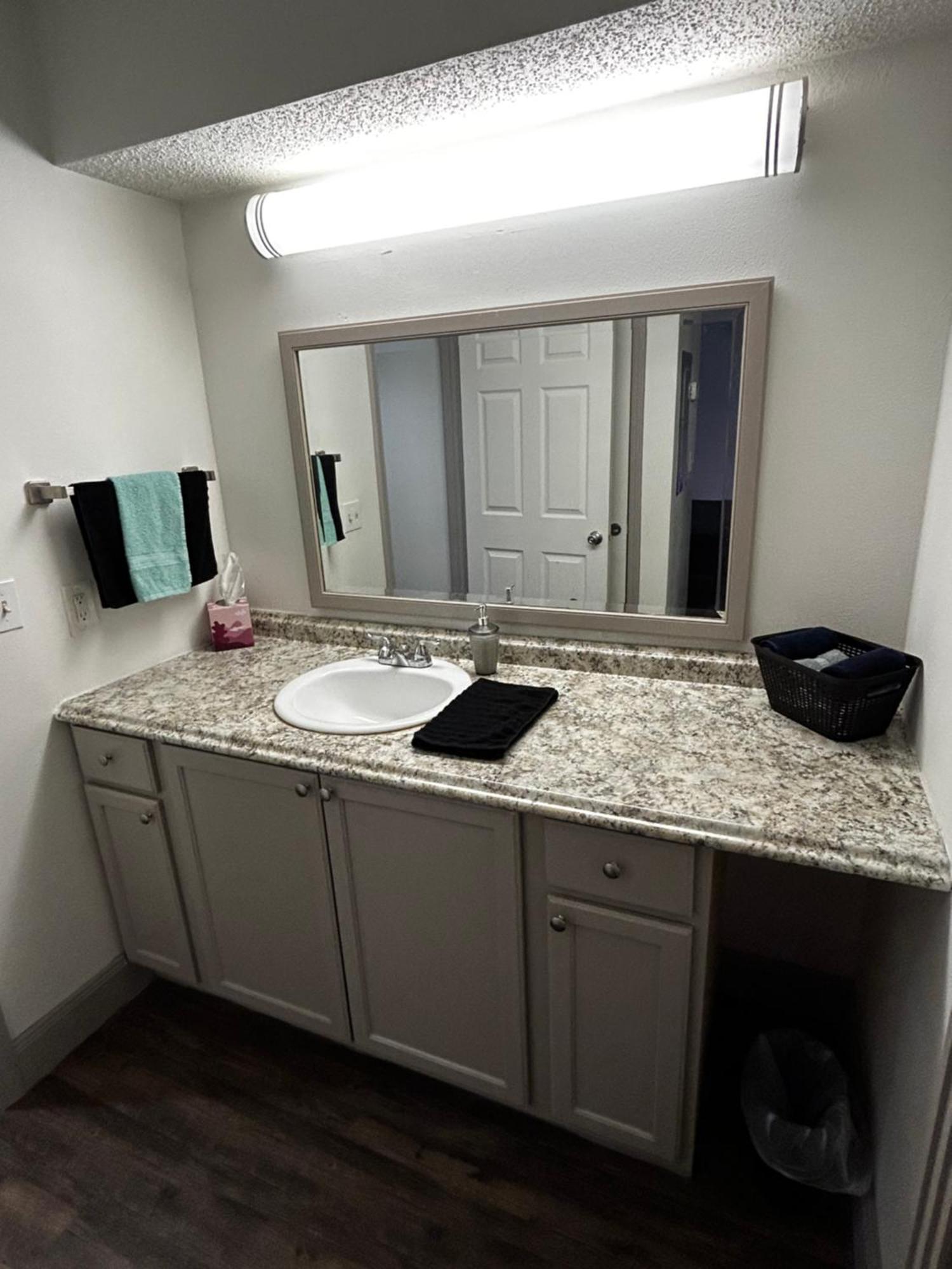 Posh Entire Unit At Nrg & Tmc Appartement Houston Buitenkant foto